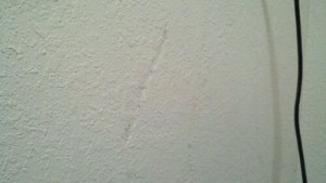 Evidence of Subterranean Termites in Drywall