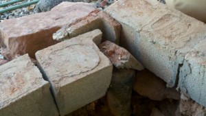 Crack in Cinderblock Wall Lets Rodents Into the House